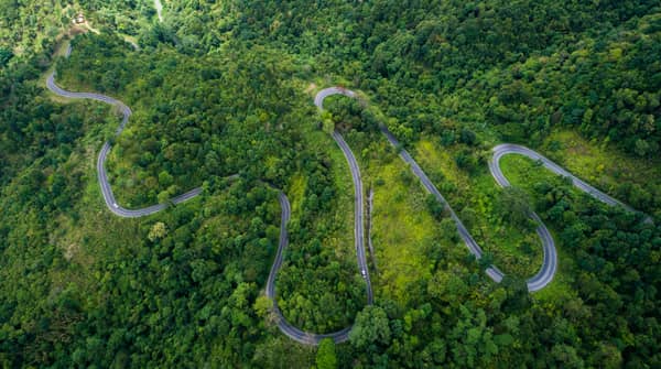 Top down view of road weaving through woodland